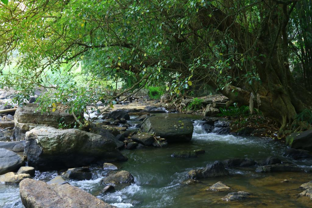 Nivahana Homestay Kandy Esterno foto