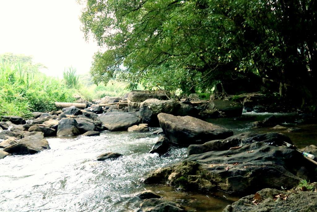 Nivahana Homestay Kandy Esterno foto