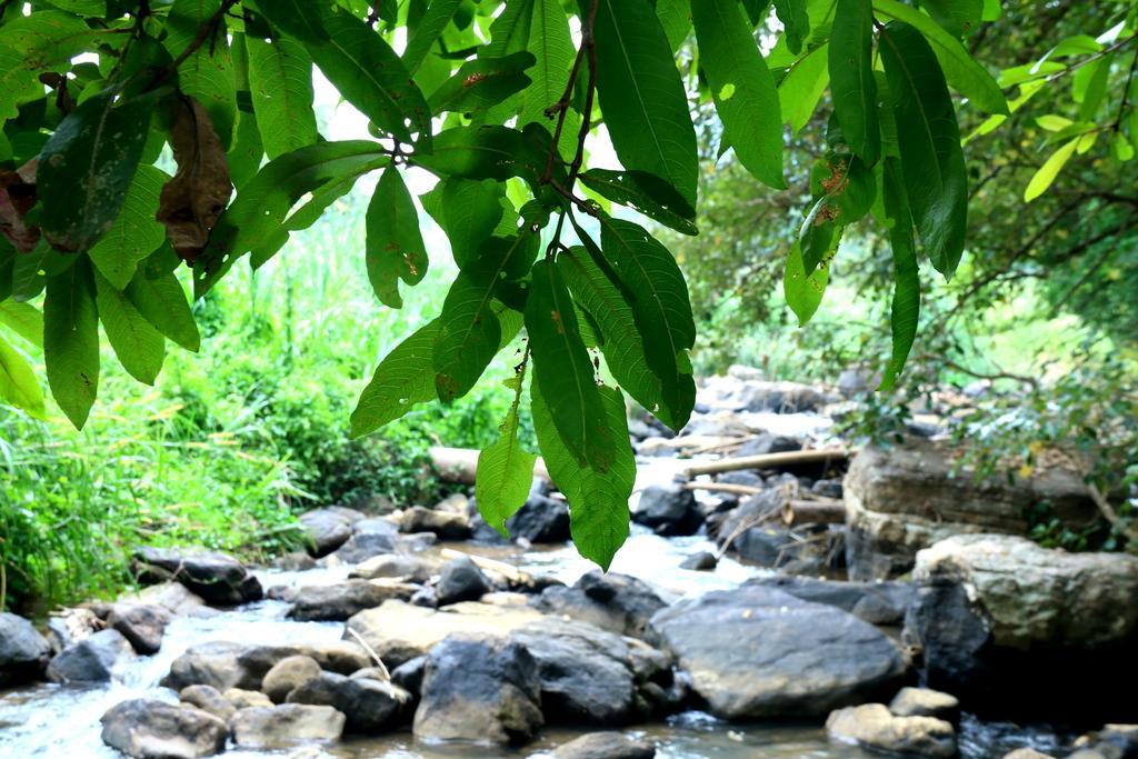 Nivahana Homestay Kandy Esterno foto