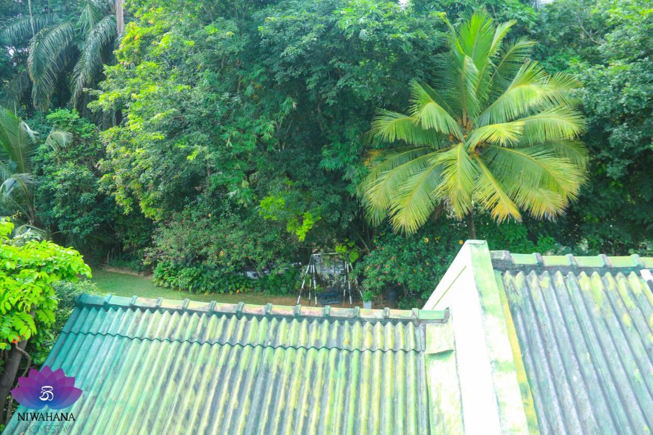 Nivahana Homestay Kandy Esterno foto