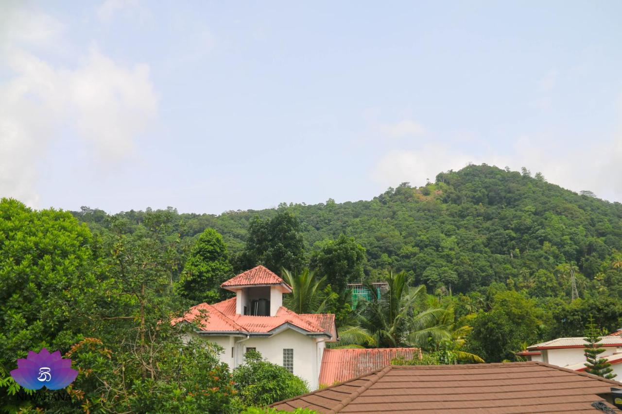 Nivahana Homestay Kandy Esterno foto